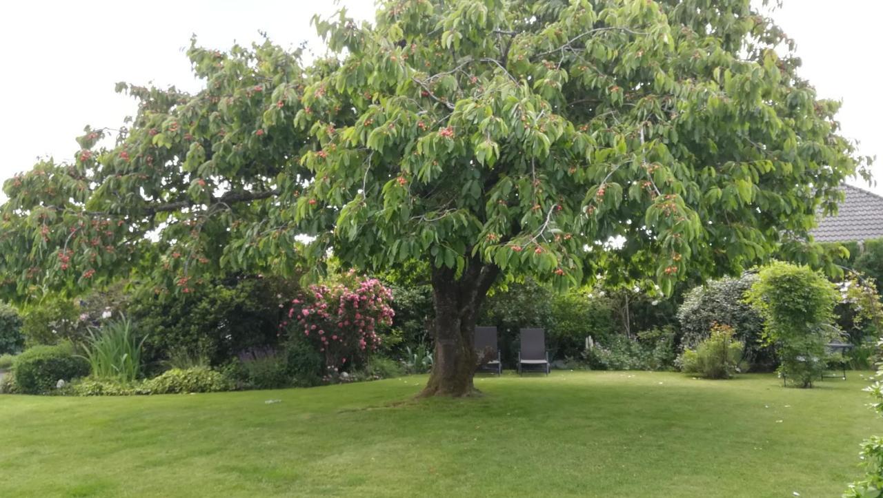 La Tiote Glaine Otel Cappelle-en-Pevele Dış mekan fotoğraf